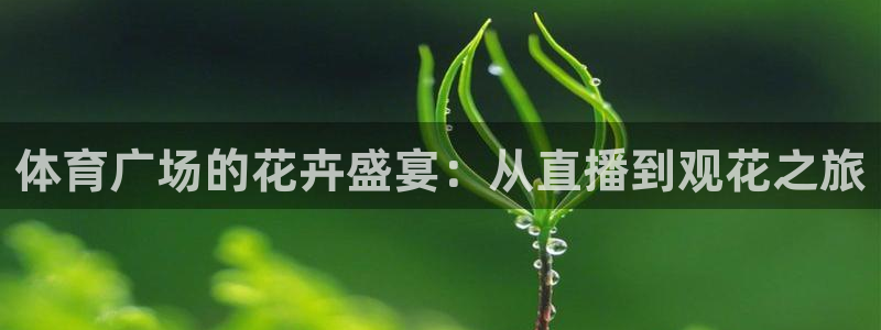 体育广场的花卉盛宴：从直播到观花之旅