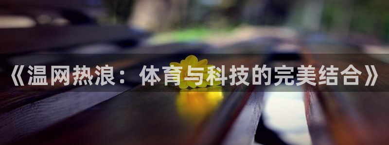 《温网热浪：体育与科技的完美结合》
