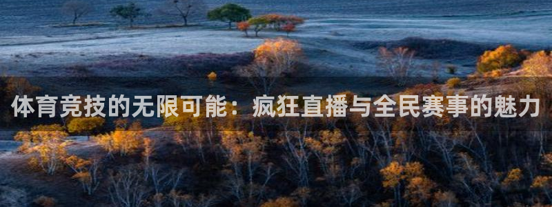 体育竞技的无限可能：疯狂直播与全民赛事的魅力