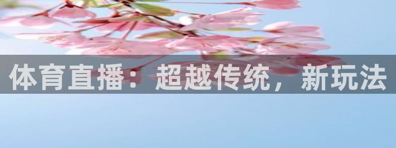 体育直播：超越传统，新玩法