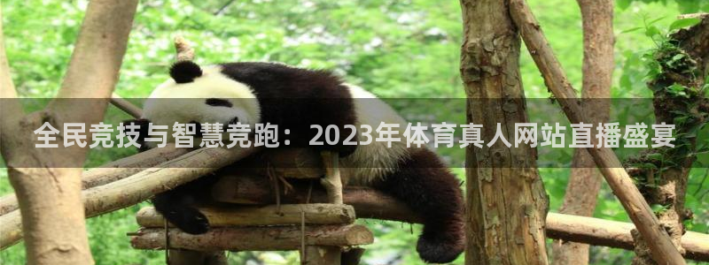 全民竞技与智慧竞跑：2023年体育真人网站直播盛宴