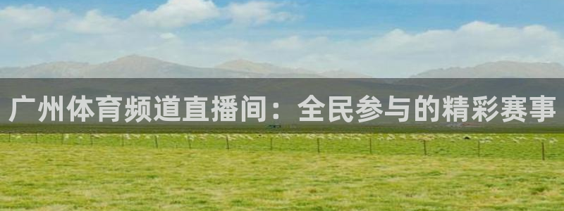 广州体育频道直播间：全民参与的精彩赛事