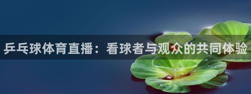 乒乓球体育直播：看球者与观众的共同体验