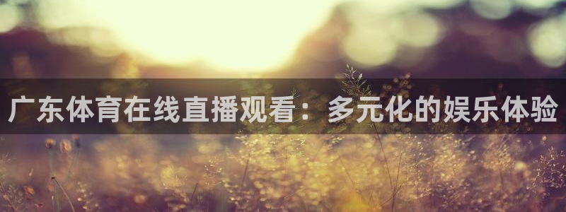 广东体育在线直播观看：多元化的娱乐体验