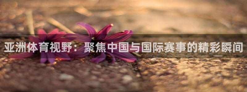 亚洲体育视野：聚焦中国与国际赛事的精彩瞬间