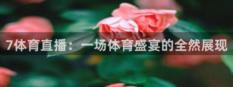7体育直播：一场体育盛宴的全然展现